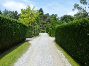 chalet te huur oisterwijk