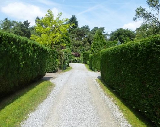 chalet te huur oisterwijk