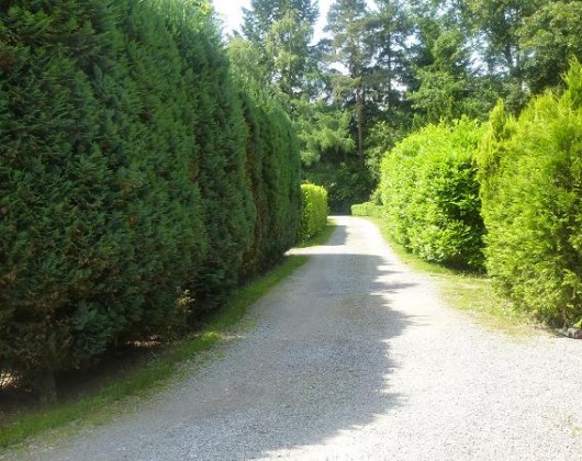 chalet te huur oisterwijk
